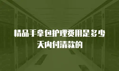 精品手拿包护理费用是多少天内付清款的