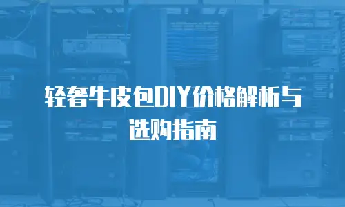 轻奢牛皮包DIY价格解析与选购指南