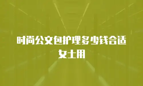 时尚公文包护理多少钱合适女士用