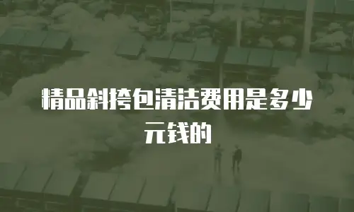精品斜挎包清洁费用是多少元钱的