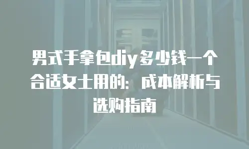 男式手拿包diy多少钱一个合适女士用的：成本解析与选购指南