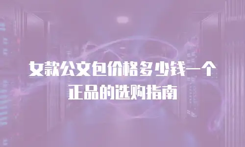 女款公文包价格多少钱一个正品的选购指南