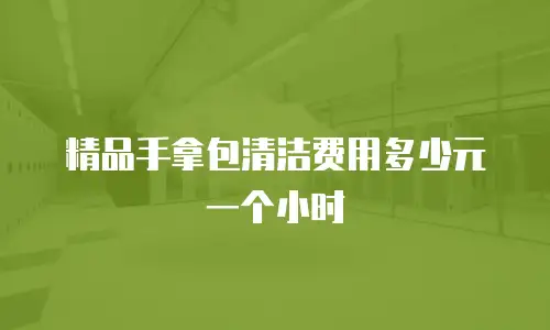 精品手拿包清洁费用多少元一个小时
