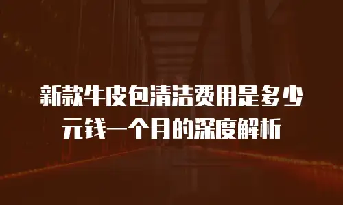 新款牛皮包清洁费用是多少元钱一个月的深度解析