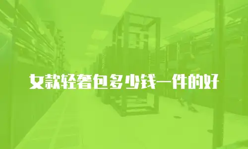 女款轻奢包多少钱一件的好