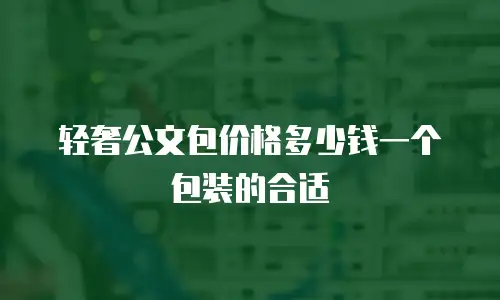 轻奢公文包价格多少钱一个包装的合适