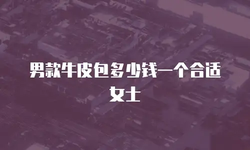 男款牛皮包多少钱一个合适女士