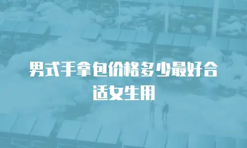男式手拿包价格多少最好合适女生用
