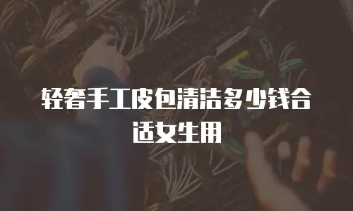 轻奢手工皮包清洁多少钱合适女生用