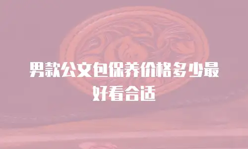 男款公文包保养价格多少最好看合适