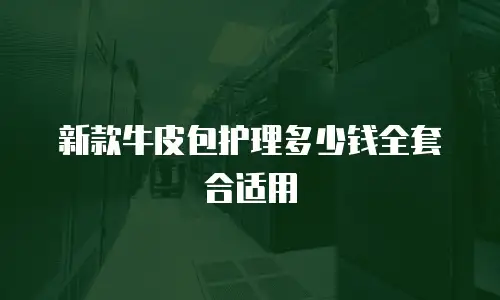 新款牛皮包护理多少钱全套合适用