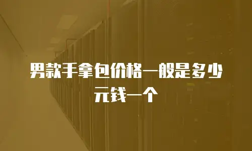 男款手拿包价格一般是多少元钱一个