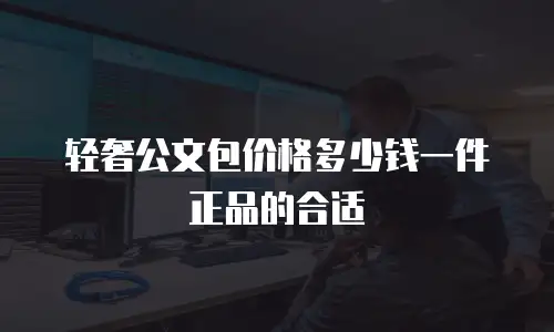 轻奢公文包价格多少钱一件正品的合适