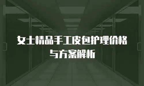女士精品手工皮包护理价格与方案解析