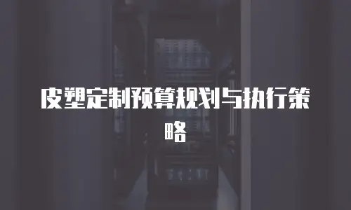 皮塑定制预算规划与执行策略