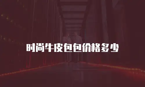时尚牛皮包包价格多少
