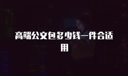 高端公文包多少钱一件合适用
