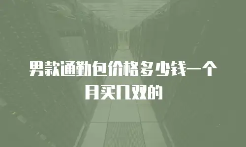 男款通勤包价格多少钱一个月买几双的