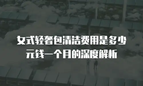 女式轻奢包清洁费用是多少元钱一个月的深度解析