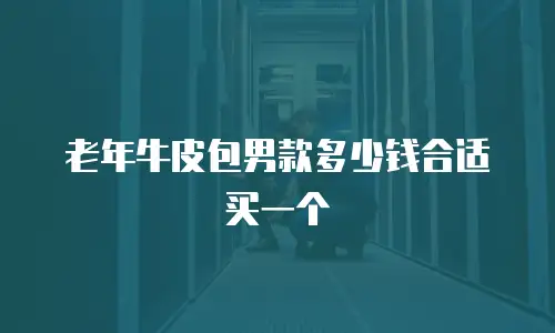 老年牛皮包男款多少钱合适买一个