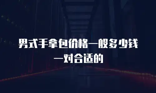 男式手拿包价格一般多少钱一对合适的