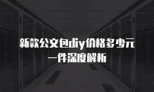 新款公文包diy价格多少元一件深度解析