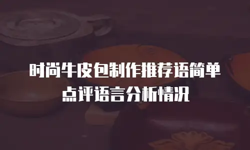 时尚牛皮包制作推荐语简单点评语言分析情况