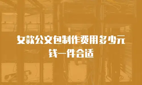 女款公文包制作费用多少元钱一件合适