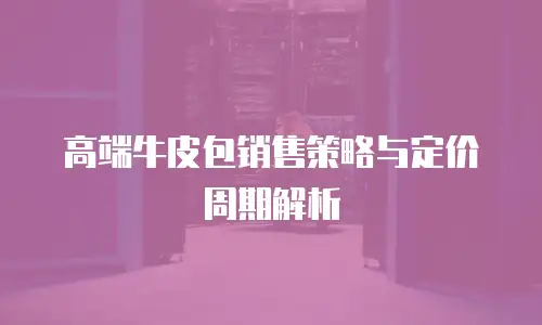 高端牛皮包销售策略与定价周期解析