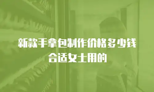 新款手拿包制作价格多少钱合适女士用的