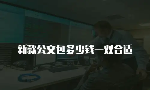 新款公文包多少钱一双合适
