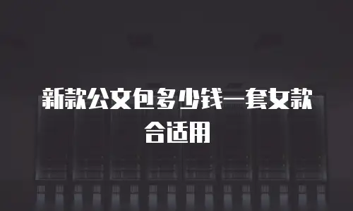 新款公文包多少钱一套女款合适用