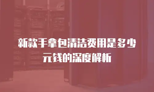 新款手拿包清洁费用是多少元钱的深度解析
