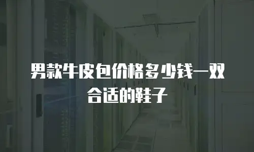 男款牛皮包价格多少钱一双合适的鞋子