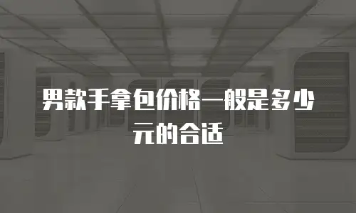 男款手拿包价格一般是多少元的合适