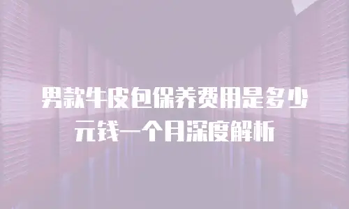 男款牛皮包保养费用是多少元钱一个月深度解析