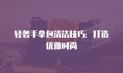 轻奢手拿包清洁技巧：打造优雅时尚