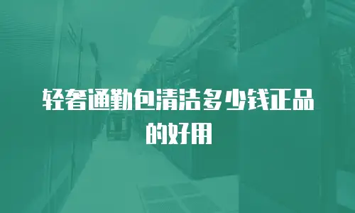 轻奢通勤包清洁多少钱正品的好用