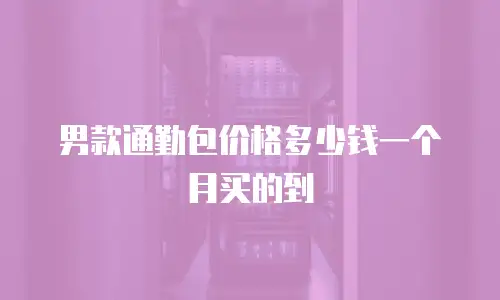 男款通勤包价格多少钱一个月买的到
