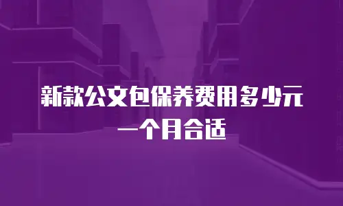 新款公文包保养费用多少元一个月合适