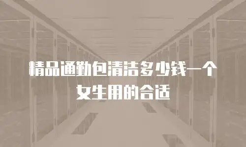 精品通勤包清洁多少钱一个女生用的合适