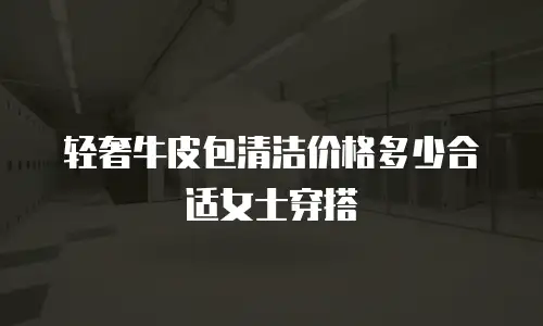 轻奢牛皮包清洁价格多少合适女士穿搭