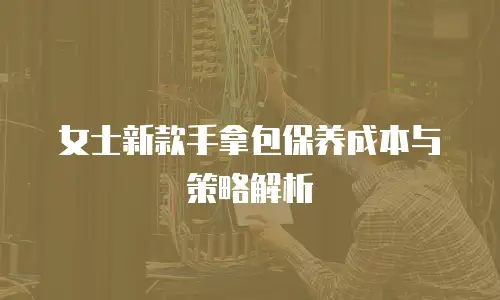 女士新款手拿包保养成本与策略解析
