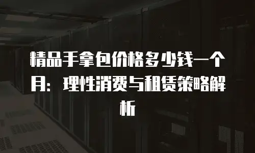 精品手拿包价格多少钱一个月：理性消费与租赁策略解析