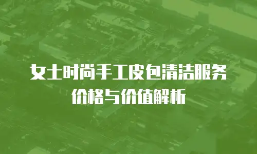 女士时尚手工皮包清洁服务价格与价值解析