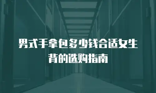 男式手拿包多少钱合适女生背的选购指南