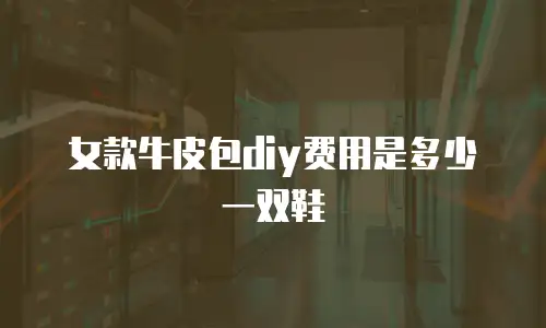 女款牛皮包diy费用是多少一双鞋
