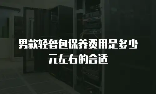 男款轻奢包保养费用是多少元左右的合适
