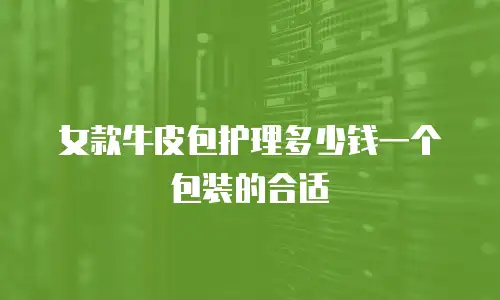 女款牛皮包护理多少钱一个包装的合适