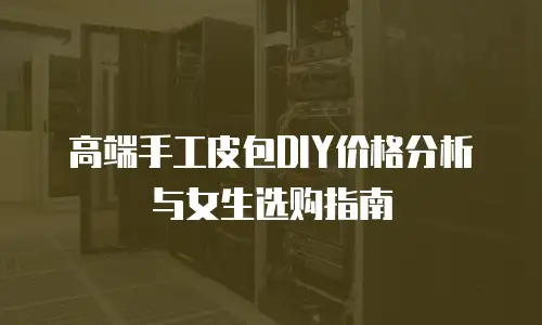 高端手工皮包DIY价格分析与女生选购指南